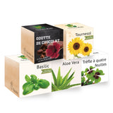 Coffret Belle Fleur - Livraison offerte