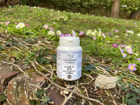 Complément alimentaire- levure de bière